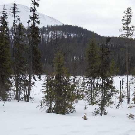 Yllaes Suistotie Cottage Äkäslompolo المظهر الخارجي الصورة